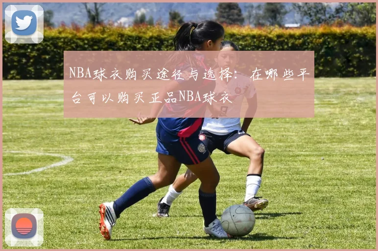 NBA球衣购买途径与选择：在哪些平台可以购买正品NBA球衣