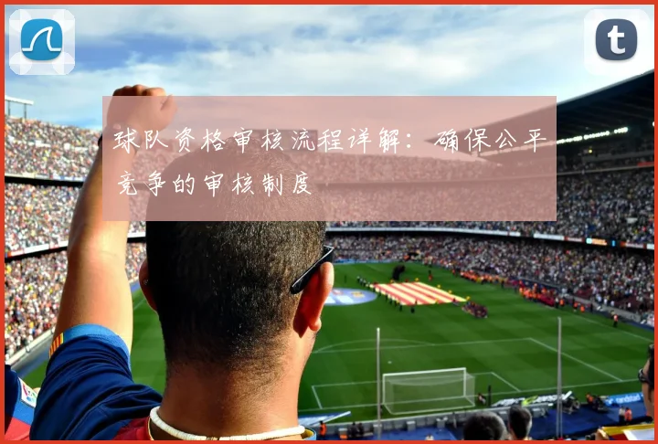 球队资格审核流程详解:确保公平竞争的审核制度