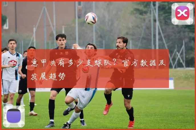 意甲共有多少支球队？官方数据及发展趋势